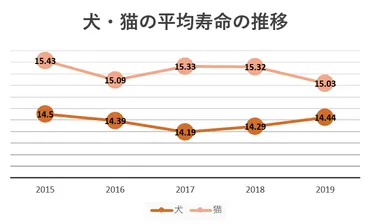 ペットロスとは？症状や克服方法、周囲の人の接し方について 