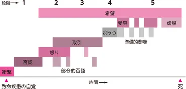 大切な人を亡くした後は？心の変化と向き合い方死別による心の葛藤とは！？