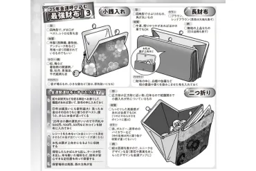 愛新覚羅ゆうはんさんが指南する「2025年最強の開運財布」ポイントは゛がま口゛（2ページ目） 