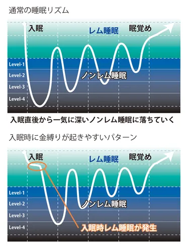 金縛りの全知識