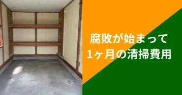 死臭？！遺体から発生する恐ろしい臭いの正体と対処法とは！？