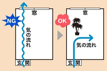 5ページ目）汚れていると、金運は逃げる！「玄関・トイレ」の片づけで気分一新《風水で開運》  特集：人気占い師大集合！「いま」を乗りきるヒント