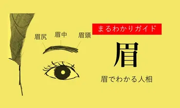 眉でわかる人相！眉の形や特徴ごとの性格【観相学】 