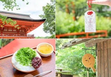 下鴨神社の水みくじ？神秘体験と歴史の重みに迫るとは！？