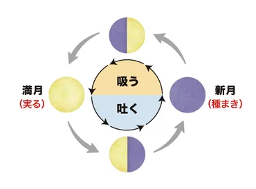 蟹座の2024年9月運勢！仕事、恋愛、そしてあなたの未来は？9月の蟹座は飛躍のチャンス！とは！？