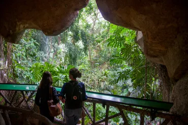 パリ植物園・自然史博物館<1>アンリ・ルソーのジャングルはここで生まれた。