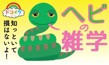 巳年特集】金運を呼ぶヘビの雑学と文化解説！年を幸運にする豆知識