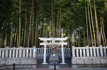 八幡不知森神社の御朱印