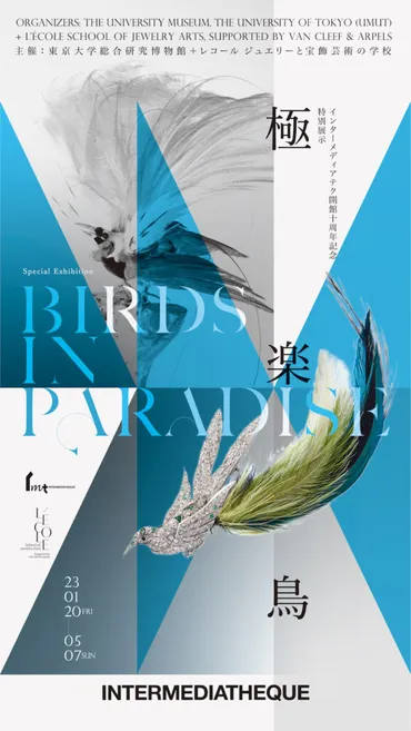 鳥とジュエリーの世界を探求！『極楽鳥』展、その魅力とは？鳥モチーフのジュエリーと自然誌標本の特別展示