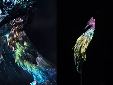 極楽鳥/』──鳥に魅せられた人間の創造力とアート・オブ・ジュエリー