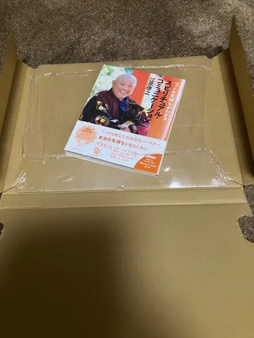 『江原啓之とペットのスピリチュアルな世界』ペットロス、死後の世界、魂の繋がりについて考える江原啓之氏のスピリチュアルな教え：ペット、死、そして魂