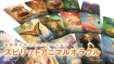 スピリットアニマルオラクル