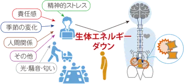 心因性腰痛とは？原因、チェック方法、治療法、改善策を徹底解説？ストレスが原因の腰痛への対策