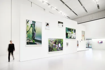 ヴォルフガング・ティルマンスの視点：写真表現の境界を問い直すアーティストとは？MoMA回顧展からエスパス ルイ・ヴィトン東京の個展まで、ティルマンスの多様な表現