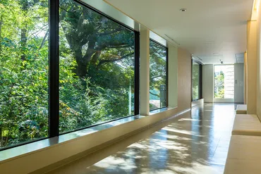 佐倉『川村記念美術館』で休館前最後のコレクション展示となる「川村記念美術館