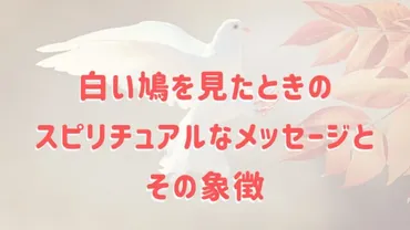 神社で見かける鳩のスピリチュアルな意味とは？～鳩が伝える神聖なメッセージとは？～神社で出会う鳩が示すサイン