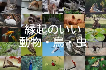 縁起のいい動物・鳥・虫】祈願やお祝いに動物モチーフのギフトを贈ろう!