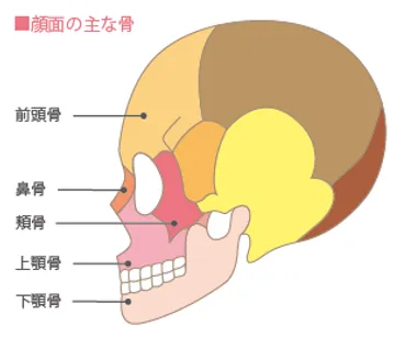 顔面骨折