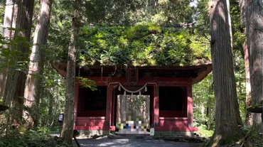 長野市】戸隠神社奥社と九頭龍社の御朱印~五社巡り①②~
