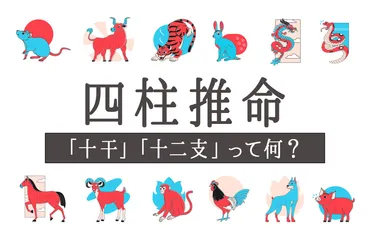 四柱推命「十干」「十二支」って何?干支の意味を詳しく解説