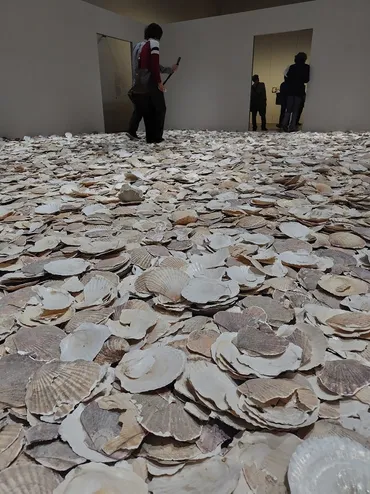 開幕】森美術館開館周年記念展「私たちのエコロジー:地球という惑星を生きるために」現代アートを通じて地球の未来を考える月日まで–美術展ナビ