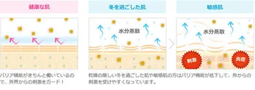 花粉・ちり・ほこり顔のムズムズから守る!原因&ケア方法、おすすめアイテムとは?
