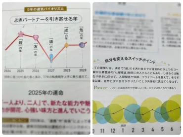 水晶玉子先生インタビュー】年の運勢は?幸運を呼ぶ秘訣とは?