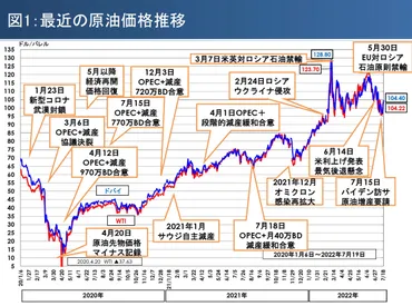 エネルギー危機と環境問題は誰の課題？不平等を考える視点とは？エネルギー問題、環境型人種差別、そして公平な取り組み