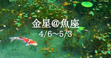4月6日、金星が魚座に移動。新たな愛の輪郭が浮かびます。