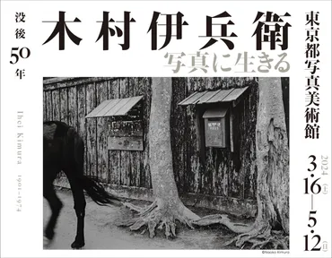 ライカの名手゛木村伊兵衛の写真展「没後年木村伊兵衛写真に生きる」が東京恵比寿の東京都写真美術館で開催
