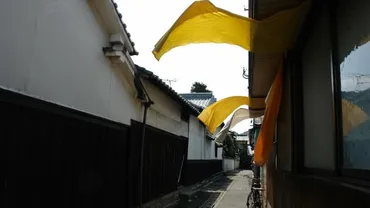 現代アートの島」過疎化する直島が甦ったアートで町おこし