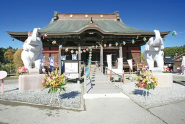 2022年 千葉県の初詣】吉ゾウくんのお寺 長福寿寺／きちぞうくんのおてら ちょうふくじゅじ（長南町） 