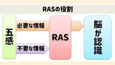 引き寄せの法則と脳の働き「」