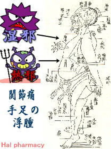 東洋医学における「気・血・水」とは？その意味と健康への影響について？「気・血・水」：健康の要を紐解く