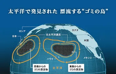 プラスチックによる海洋環境汚染