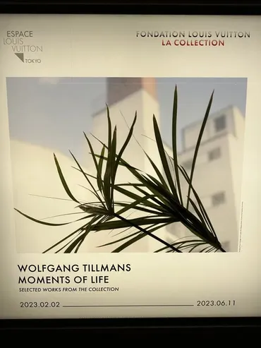 エスパスルイ・ヴィトンの展示室を大胆に使ったドイツ出身の写真家ヴォルフガング・ティルマンスの「」展