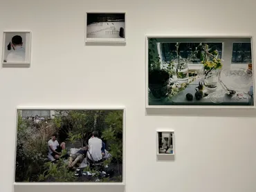 日常の断片と身体の脆弱性を写し出す。写真家、ヴォルフガング・ティルマンスの個展が開催中!