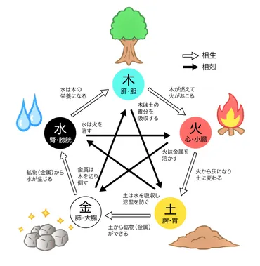 2025年己巳の日過ごし方と開運アクションいつ?銭洗い?種銭?意味とは?九星気学ナオミ鑑定講座開運