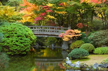 日本の美をアメリカで味わえる「ポートランド日本庭園」が拡張＆増設を発表。デザインは隈研吾が担当
