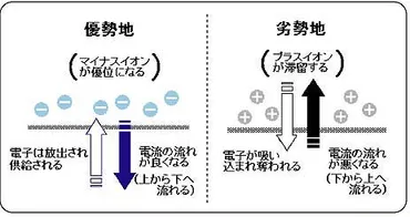 こだま通信 Vol.57 2005年12月号 2P(すべてにとって優しい場所イヤシロチ(弥盛地) )