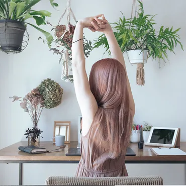 観葉植物で空気をキレイに!プロがおすすめする10選