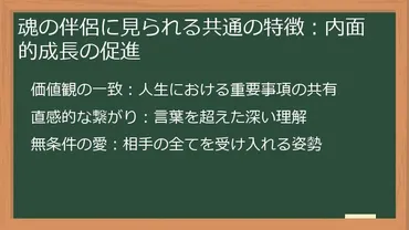 ソウルメイトとは？運命の相手の見つけ方と出会いの前兆とは？ソウルメイト：魂で繋がる運命の相手