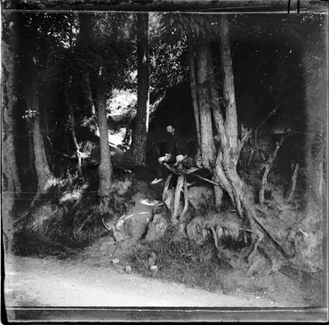 ゴッホ遺作「木の根」場所断定の写真。