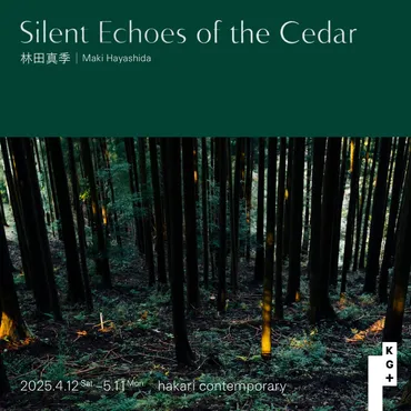 Silent Echoes of the Cedar – hakari contemporary
