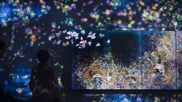 サイエンスアートの世界へようこそ！(チームラボ、デジタルアート、融合)？デジタル技術とアートの新たな融合