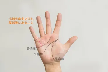 手相占い師が教える！宝くじ当選への道：あなたの手に幸運のサインは？金運アップのヒント：宝くじ当選の手相とは？
