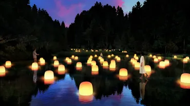 チームラボ、五浦の森で夜の森のミュージアムを開催？ 岡倉天心も愛した地でアート体験チームラボ 幽谷隠田跡：五浦の森で自然とアートが融合する夜のミュージアム