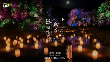 夜の森に隠された谷の棚田跡をアート空間に変える 「チームラボ 幽谷隠田跡」が茨城・五浦にオープン