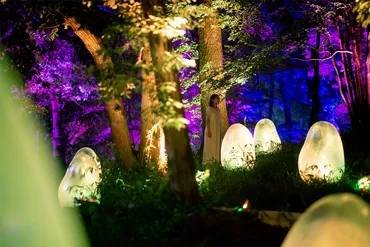 チームラボ ボタニカルガーデン 大阪夜の長居植物園で過去から未来への時間を旅する