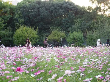 チームラボ ボタニカルガーデン 大阪」自然とアートの融合が楽しめる夜の長居植物園